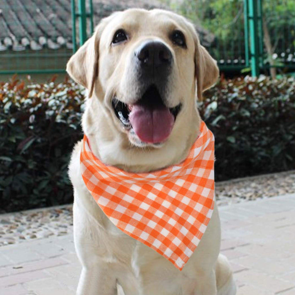 Bandana Tayfremn chat à carreaux jaune, parfait pour sorties.