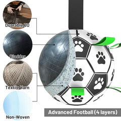 Ballon-foot TBC PET pour chien moyen en extérieur