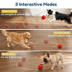 Balle interactive TBC PET mode standard, rebond doux pour chiens actifs.