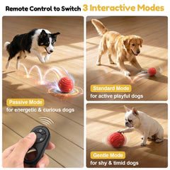 Balle pour chien avec 3 modes, guidée par télécommande TBC PET.