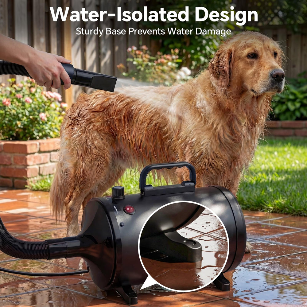 Base stable du sèche-chien TBC PET pour sessions de toilettage sûres