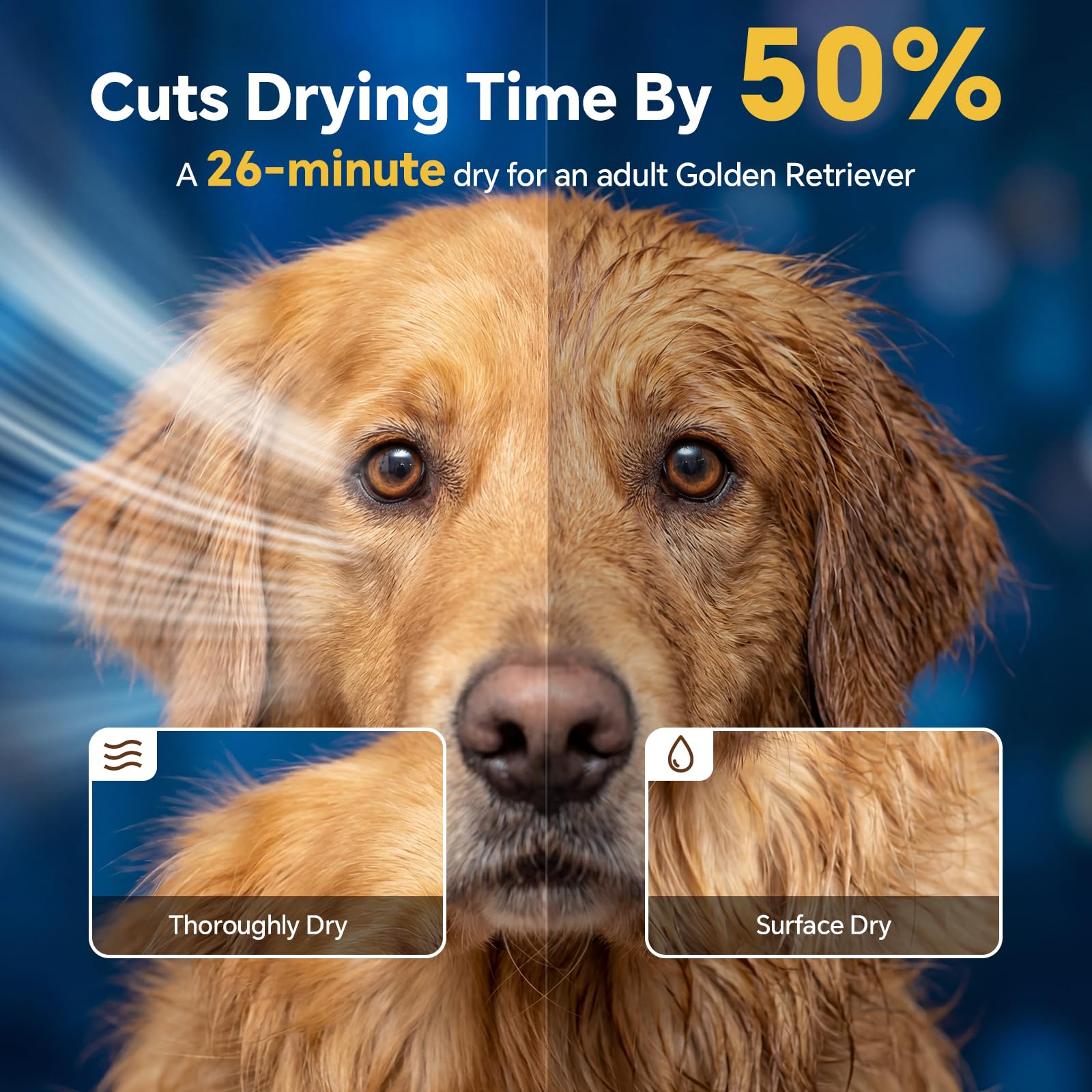 Température réglable du sèche-chien TBC PET entre 35 et 60 °C