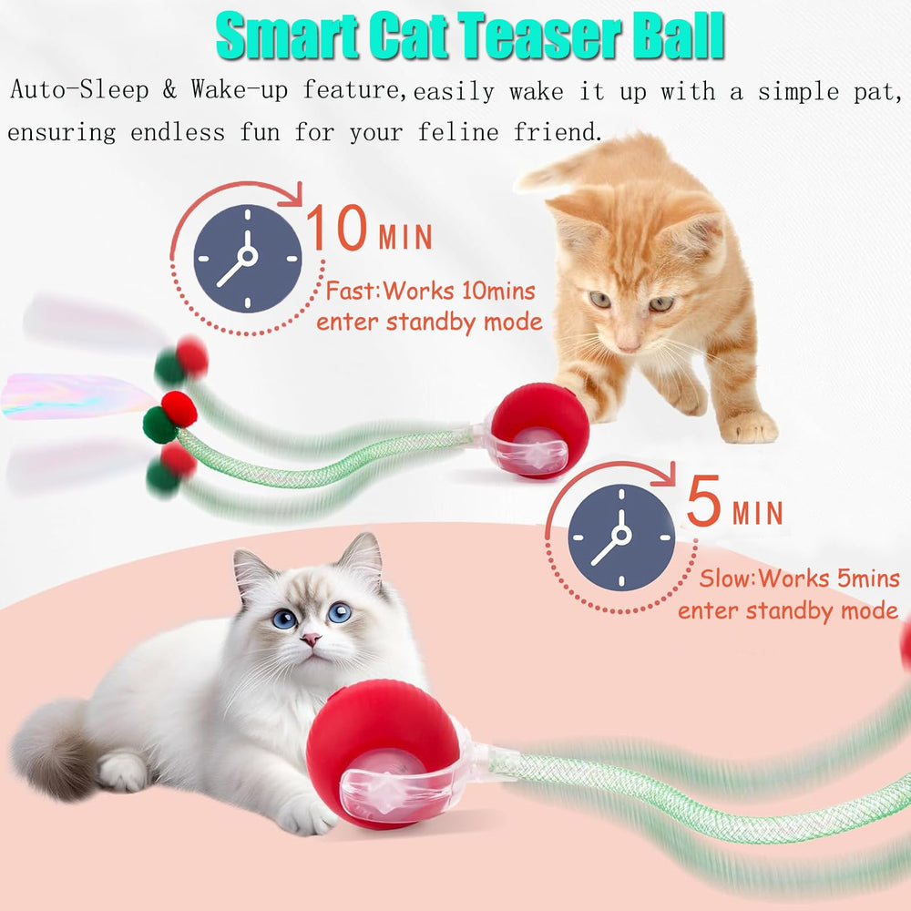 Tchernt Speed 2.0 mode lente violet pour les chatons timides.