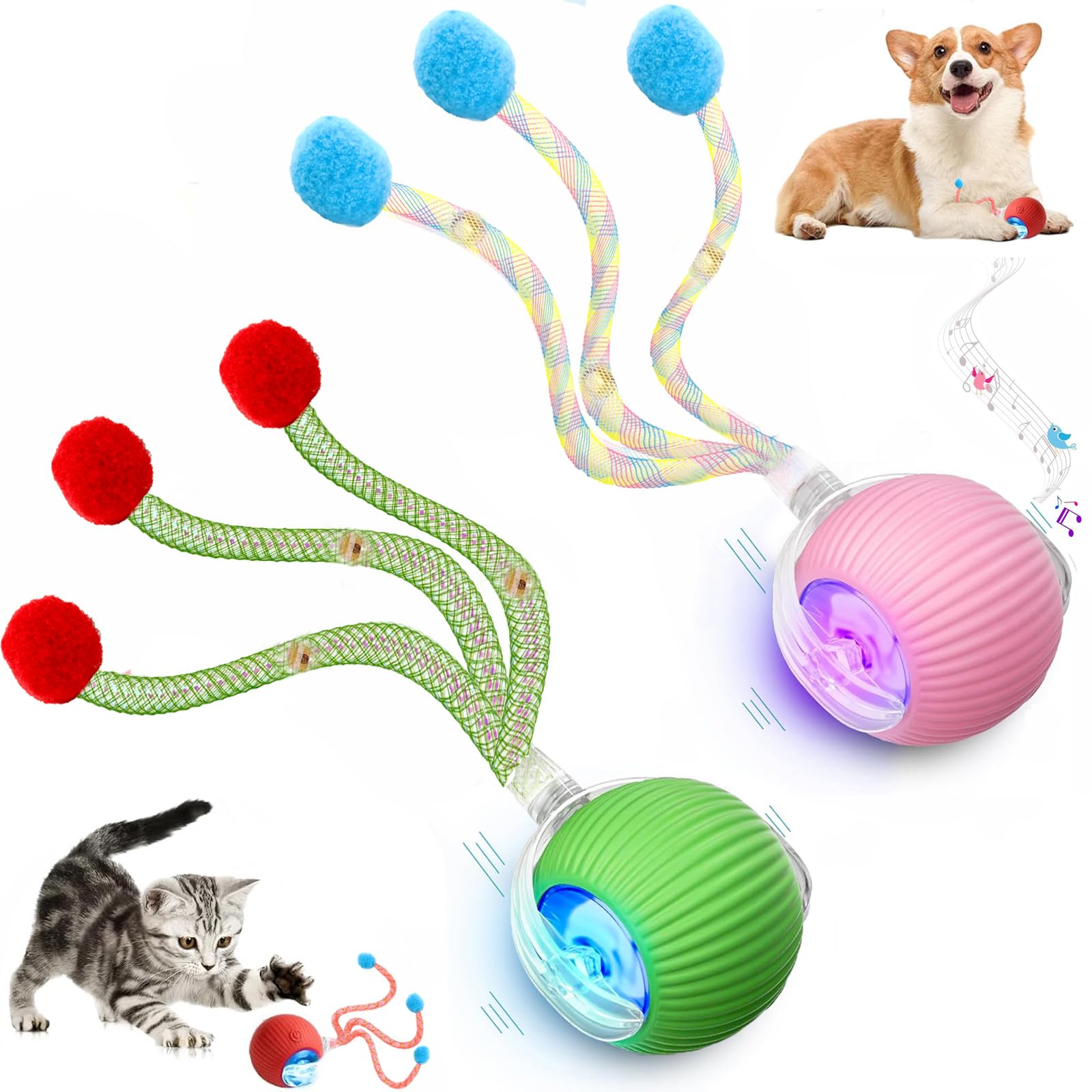 Tchernt Speed 2.0 Queue-chat interactif en mouvement stimule l’instinct.