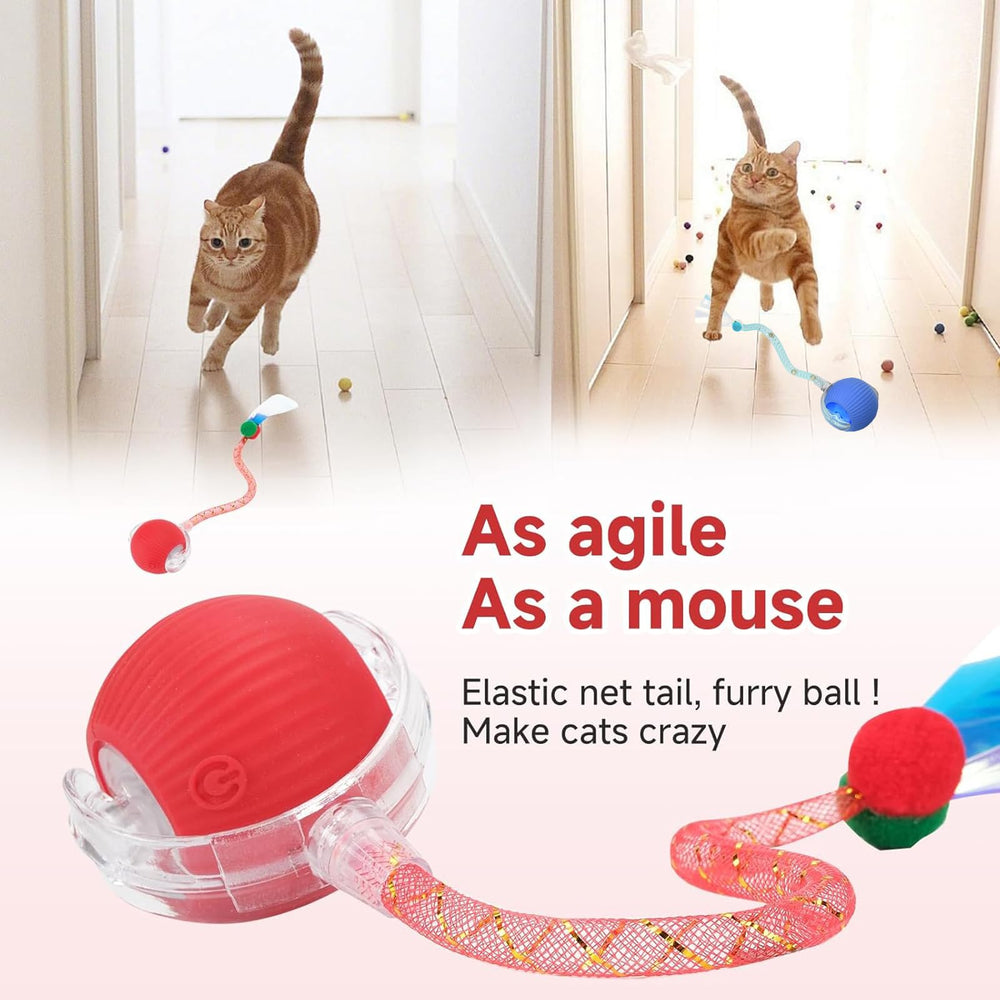 Tchernt Speed 2.0 - queue elastique, stimulation ludique durable pour chats d’intérieur.