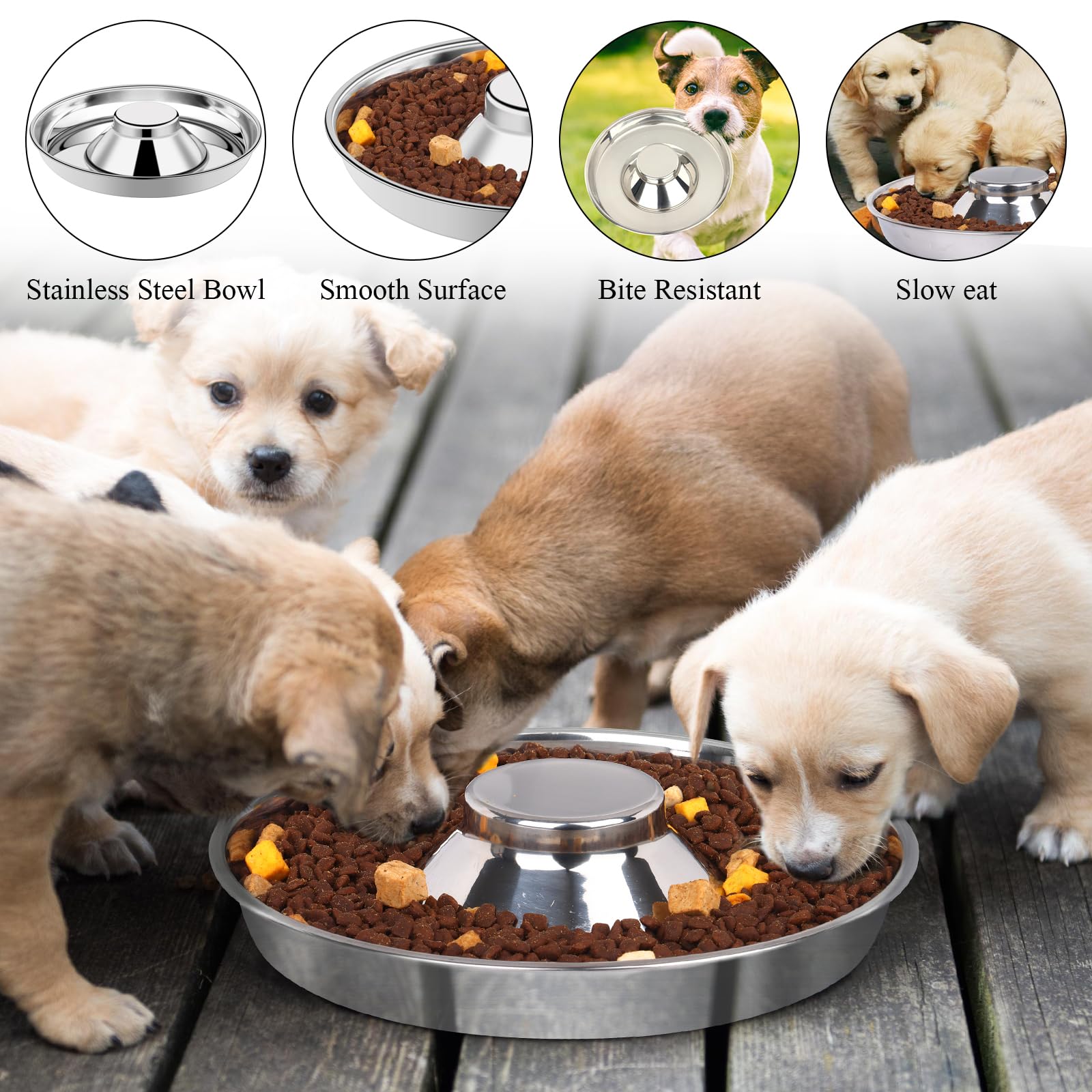 bol tchrules surélevé pour chiots, facilite l'alimentation.