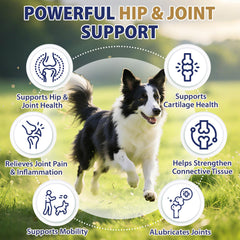 Composition glucosamine, chondroïtine et MSM pour les articulations.
