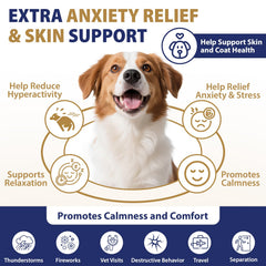 Huile de chanvre Tciika oméga3 pour peau et pelage.