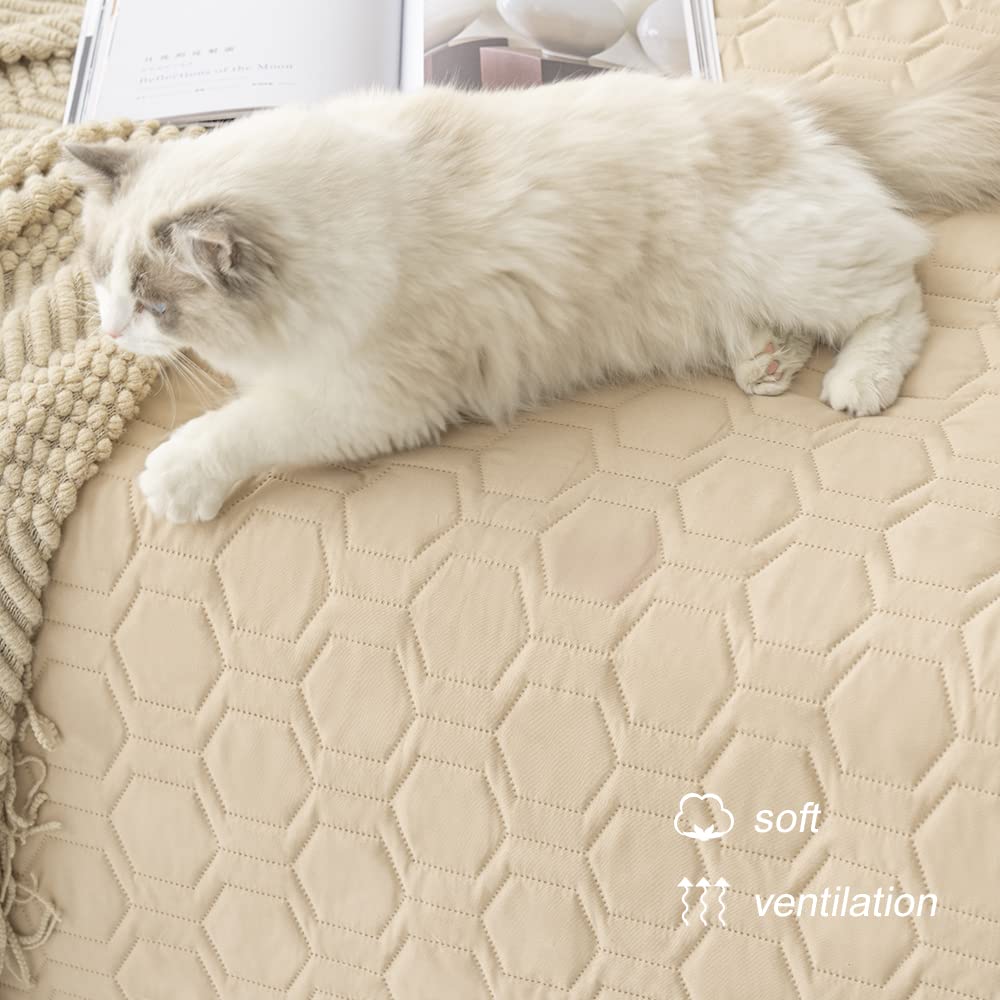 Drap lit chien lavable Tcksstex facile d’entretien.