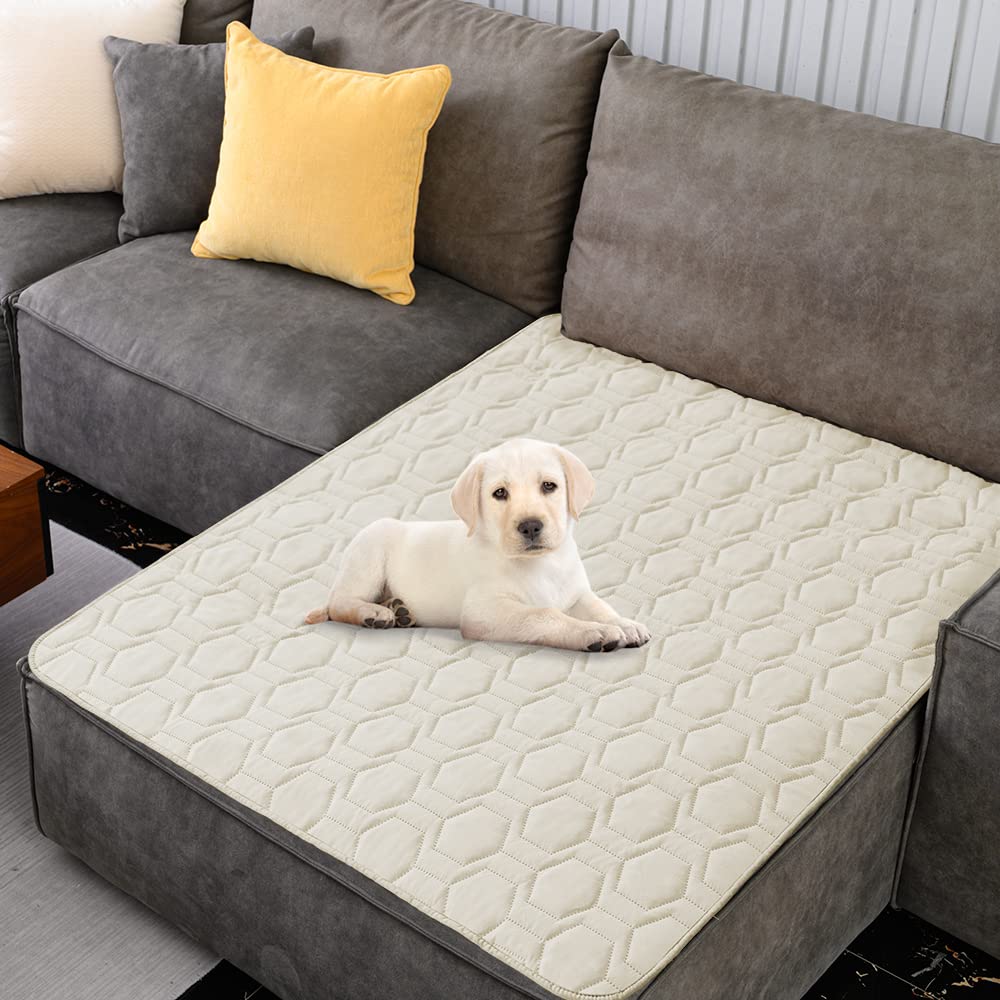 Housse imperméable Tcksstex sur canapé pour chien et chat, protection fiable des meubles.