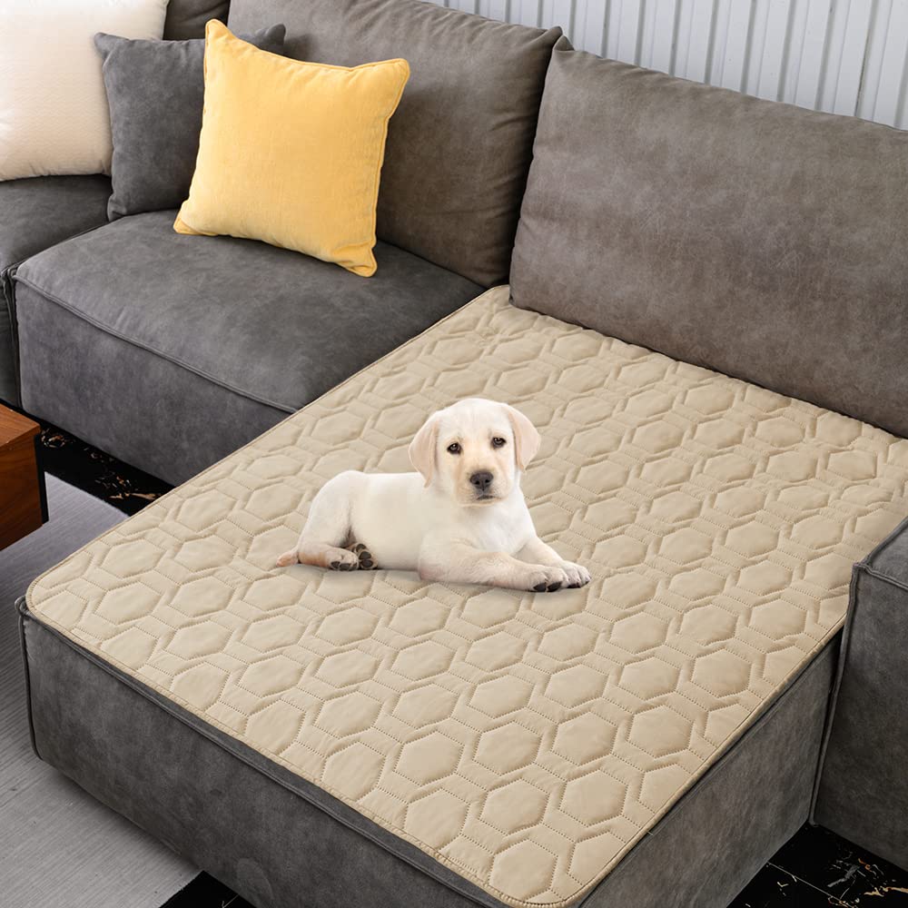Usage quotidien confort chien Tcksstex sur canapé et lit.