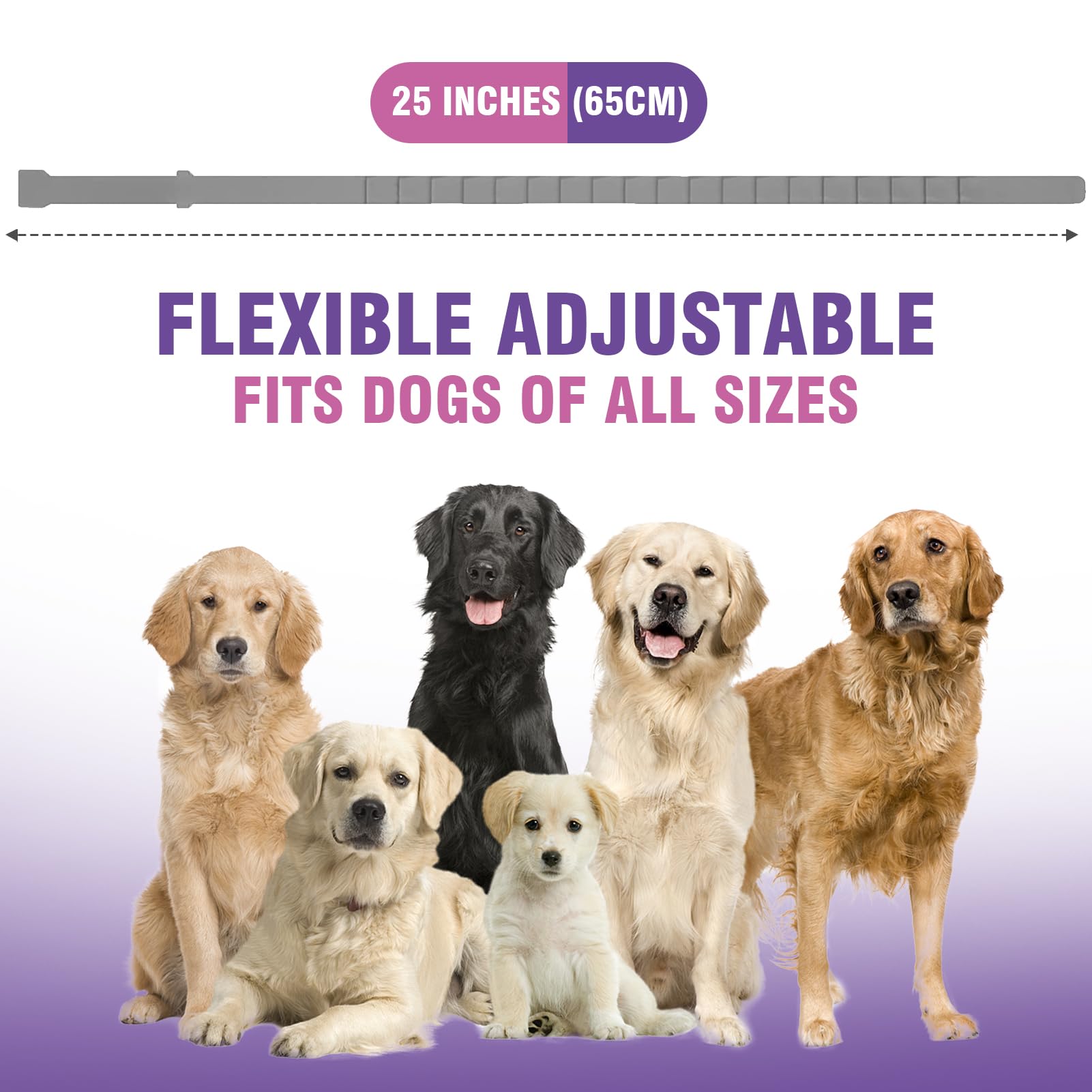 Tcllka collier sécurité chien – ajustement facile pour toutes tailles et sessions