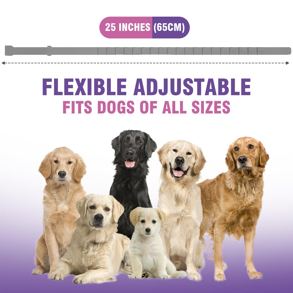 Tcllka collier sécurité chien – ajustement facile pour toutes tailles et sessions