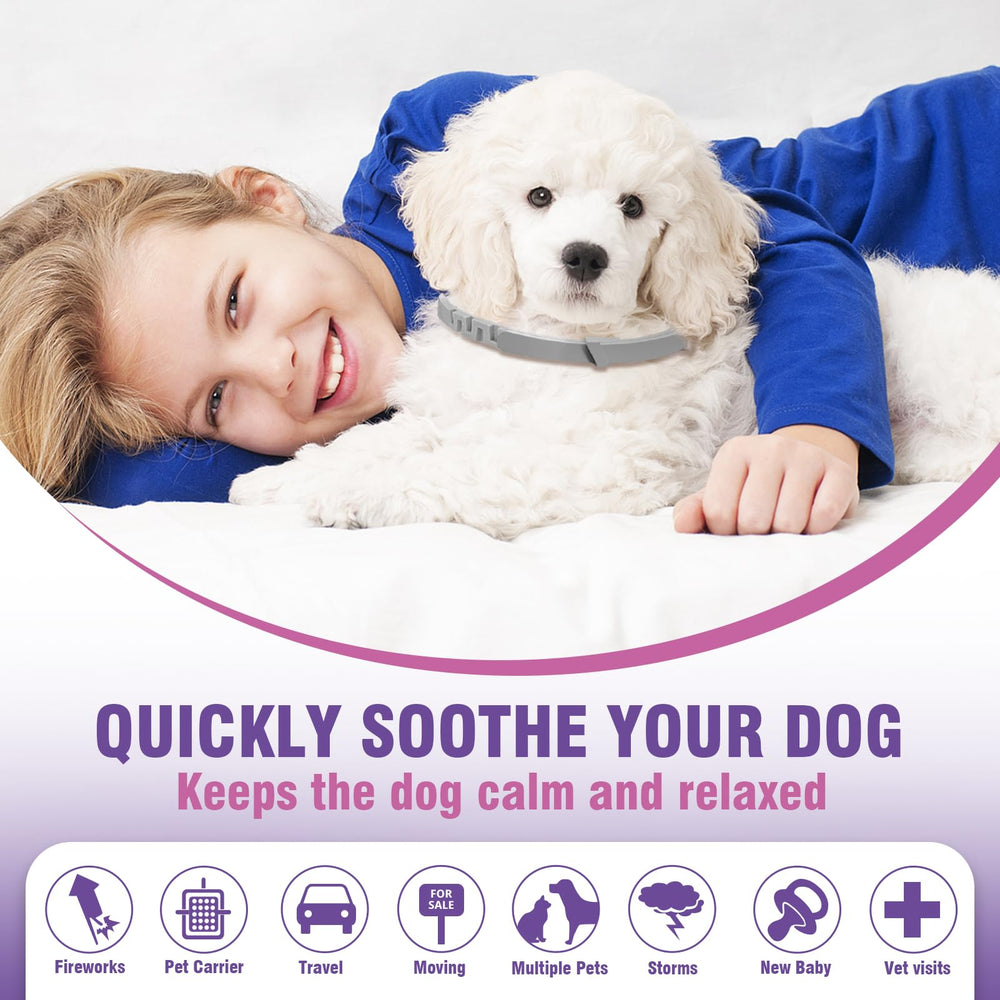 Tcllka collier usage quotidien chien – chien porté, pratique lors des balades