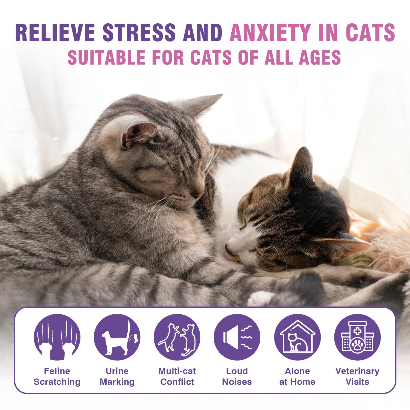 Diffuseur Tcllka pour chat – calme naturel sans parfum ni irritants.