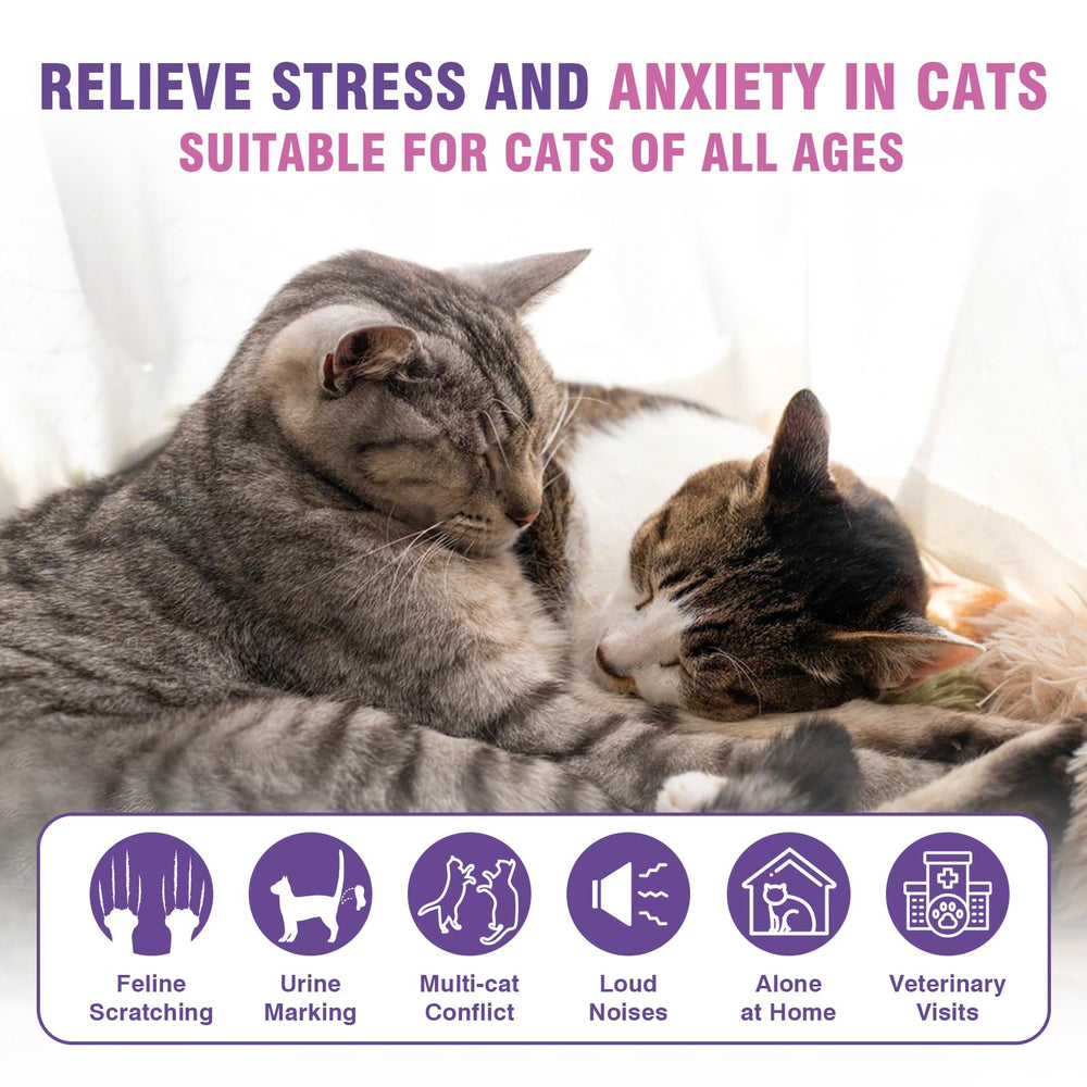 Diffuseur Tcllka pour chat – calme naturel sans parfum ni irritants.