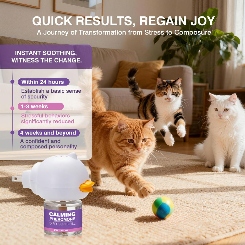 Mise en place rapide du diffuseur tcllka pour apaiser les chats.
