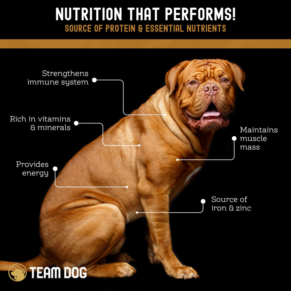 Protéines élevées dans les bouchées Team Dog pour chiens actifs.
