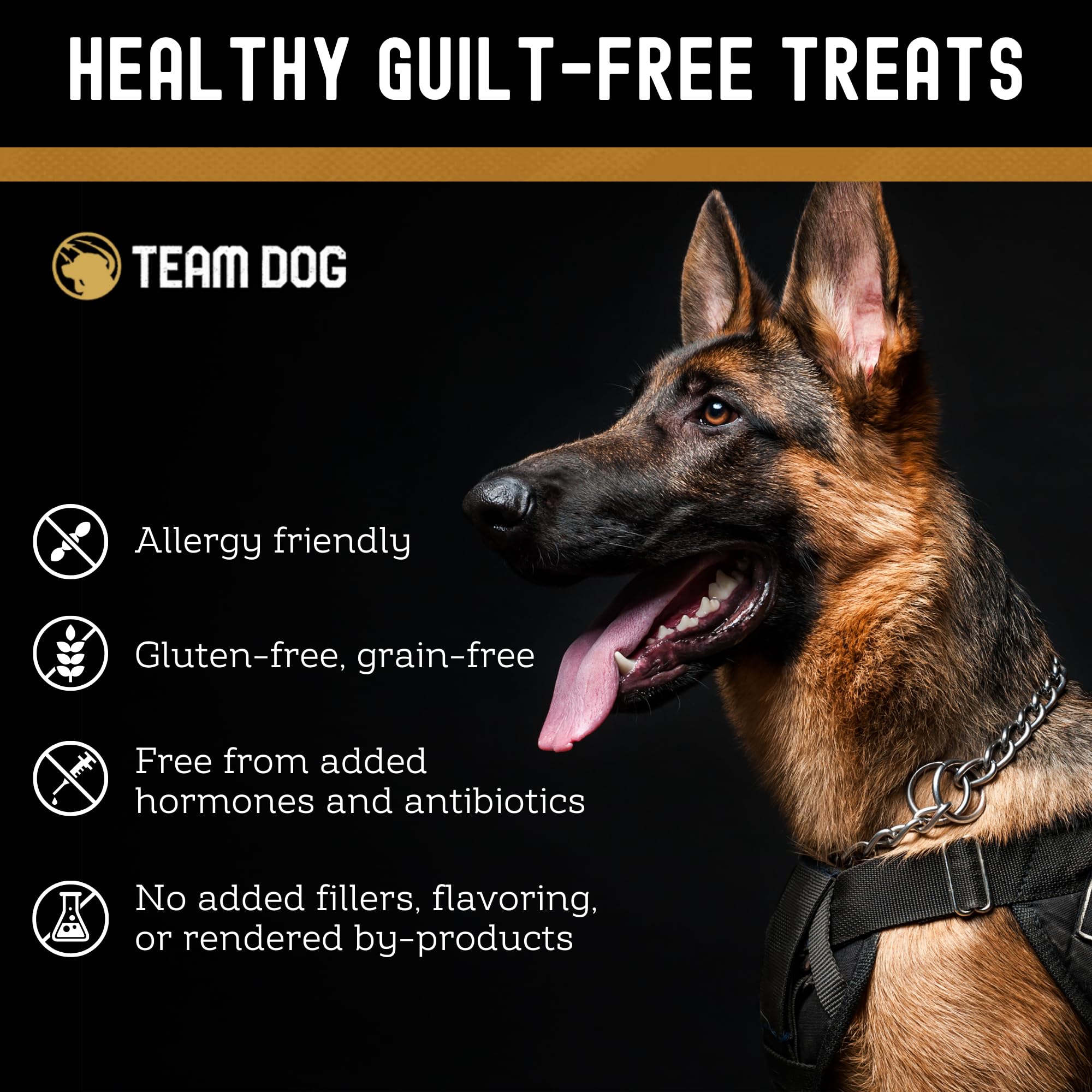 Friandises Team Dog sans gluten et sans céréales pour chien.