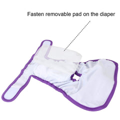 Teamoy coussinets amovibles pour chien, absorption efficace et remplacement facile.