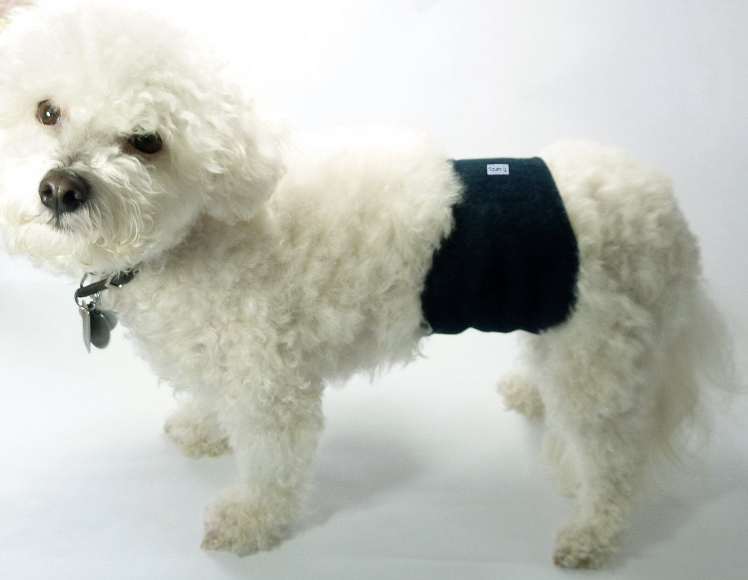 Teamoy pack 3 bandes chien male