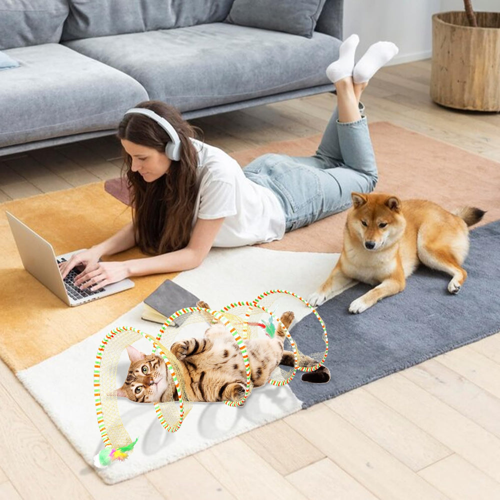 TEASIK lot2 tunnels chat teasik: ensemble pratique pour divertir plusieurs felins
