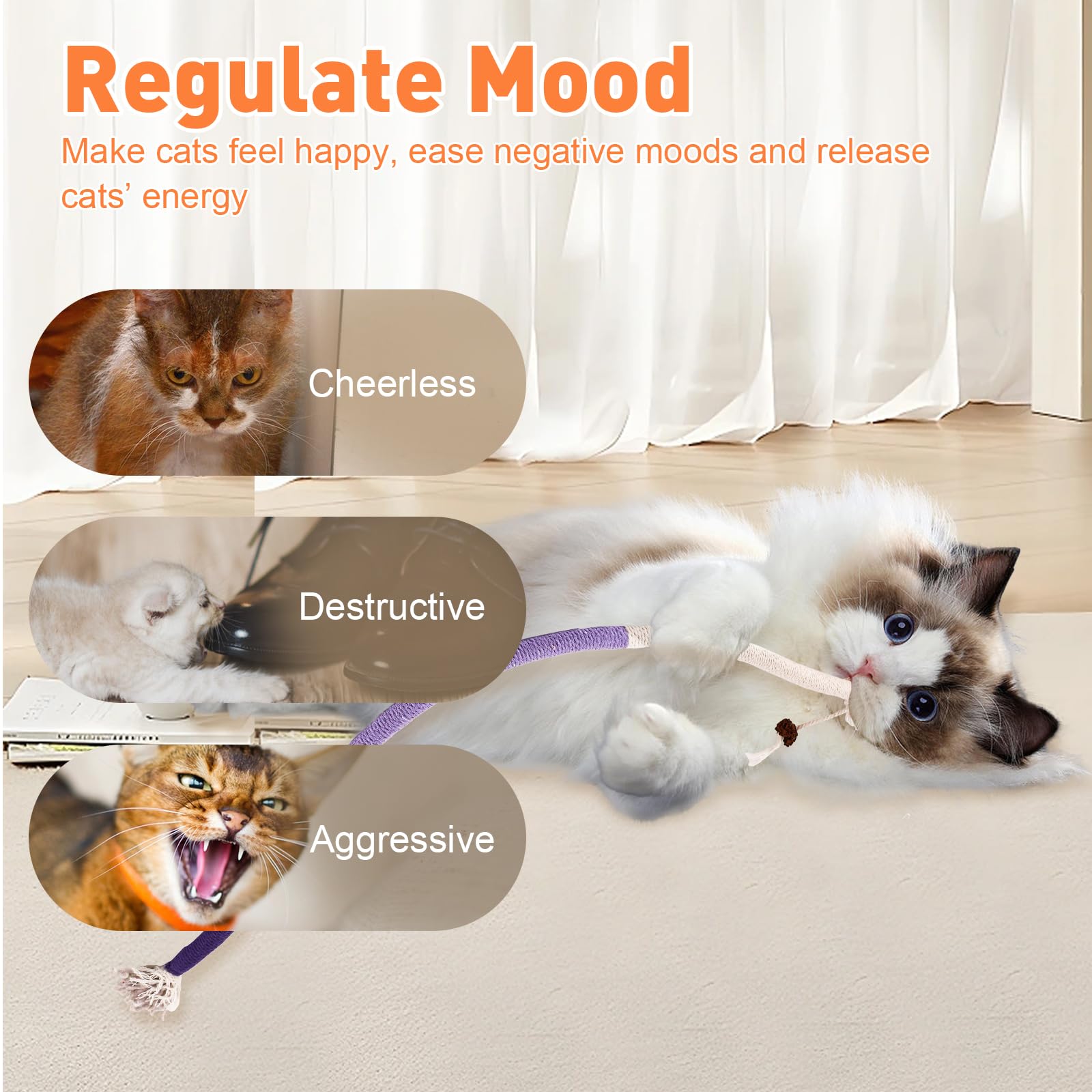 Coffret TEAWOO: trois cordes et herbe à chat, cadeau idéal pour chats.