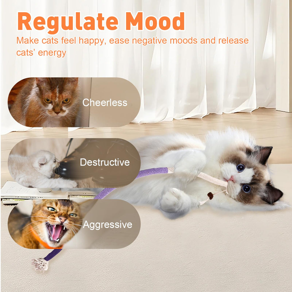 Coffret TEAWOO: trois cordes et herbe à chat, cadeau idéal pour chats.