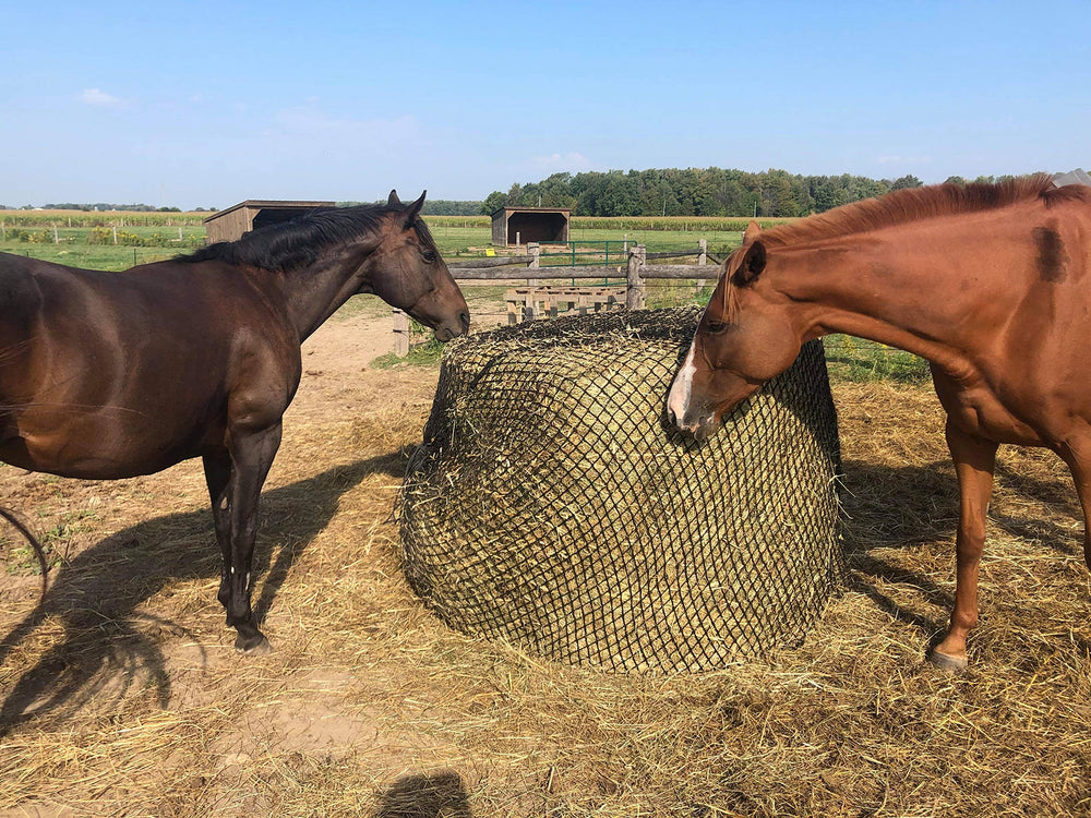 Ouverture du filet Tech Equestrian de 2,5 pouces pour débit contrôlé.