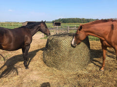 Ouverture du filet Tech Equestrian de 2,5 pouces pour débit contrôlé.
