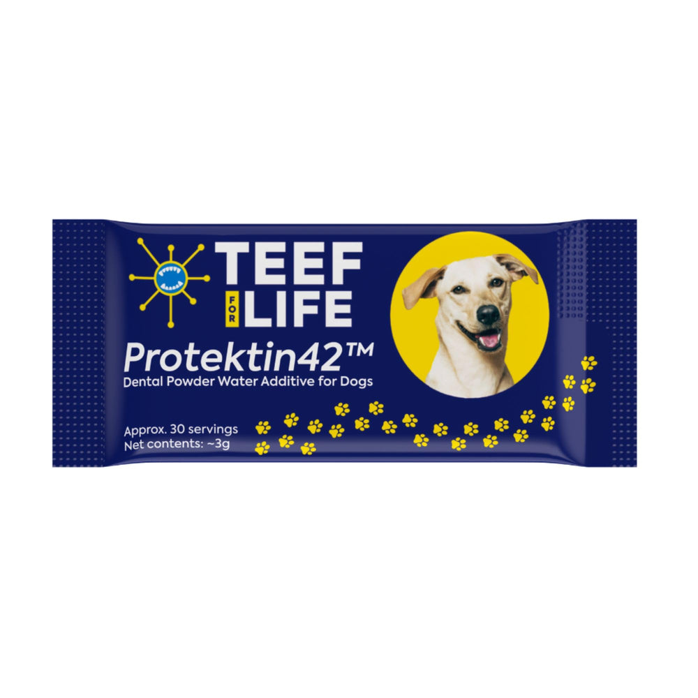 Protektin42 Poudre dentaire chien recharge pour une routine simple et efficace