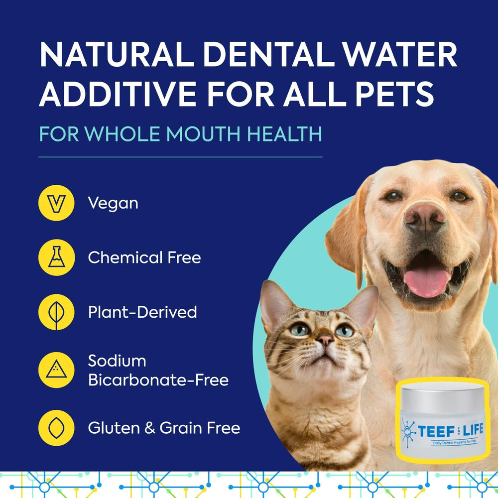 Teef Protektin42K dose dans l'eau pour chiens et chats.