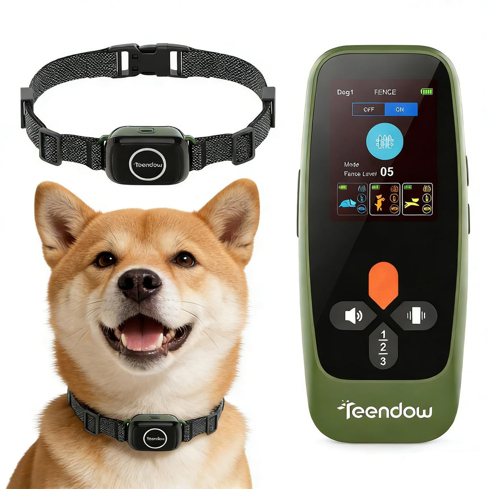 Teendow T800 Pro – affichage HD du collier, suivi rapide des modes.