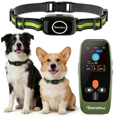 Teendow T800 Pro: système sans fil pour deux chiens avec délimitation flexible.