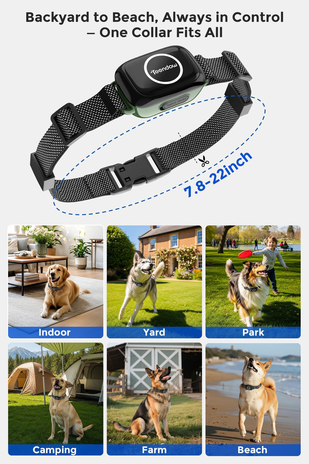 Teendow T800 Pro – système tout-en-un pour la sécurité du chien.