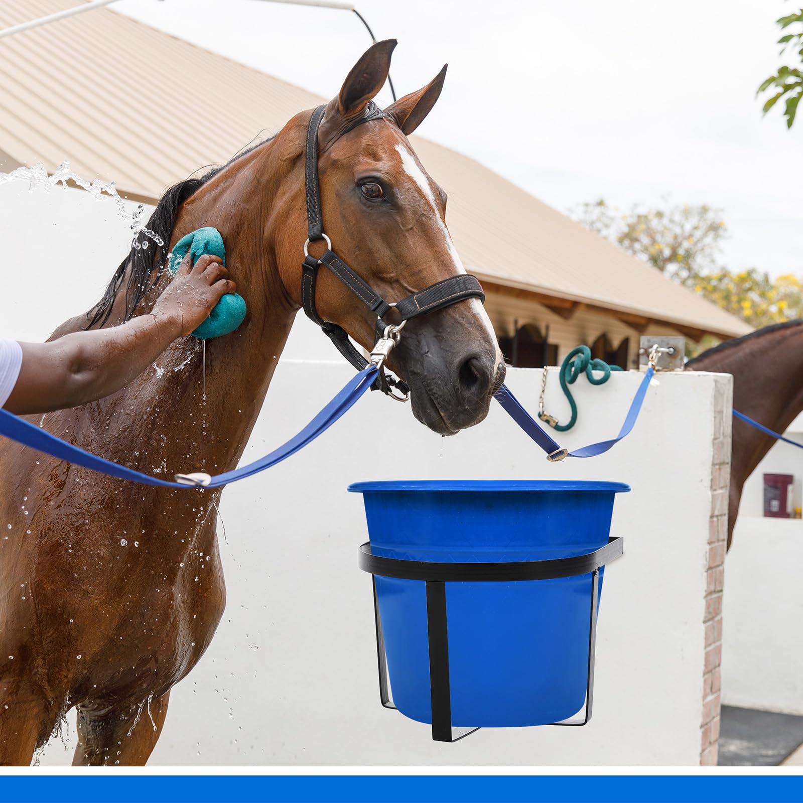 Teenyyou design solide murale pour chevaux : support fiable et durable.