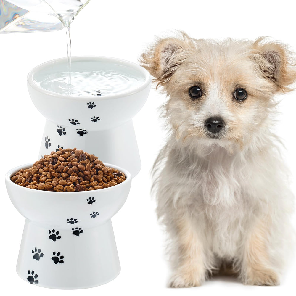 Gamelle élevée Teenyyou en céramique blanche, pratique et facile à nettoyer pour chien.