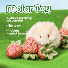 Ensemble de 4 jouets fraises Teewy, idéal pour l'enrichissement quotidien des petits animaux.