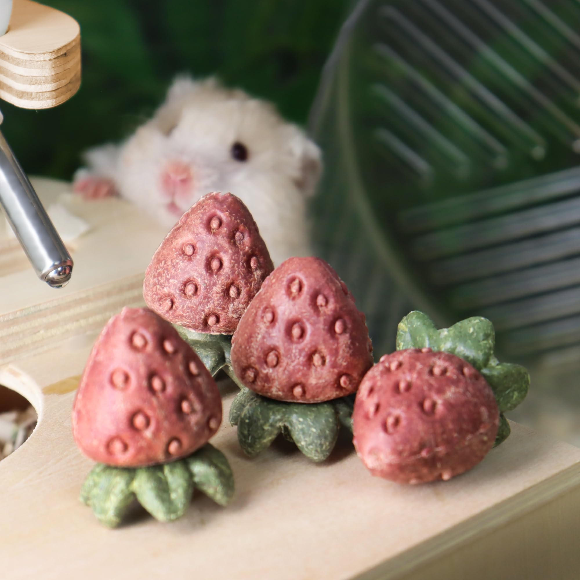 Formule naturelle Teewy, sans additifs artificiels pour les animaux sensibles.