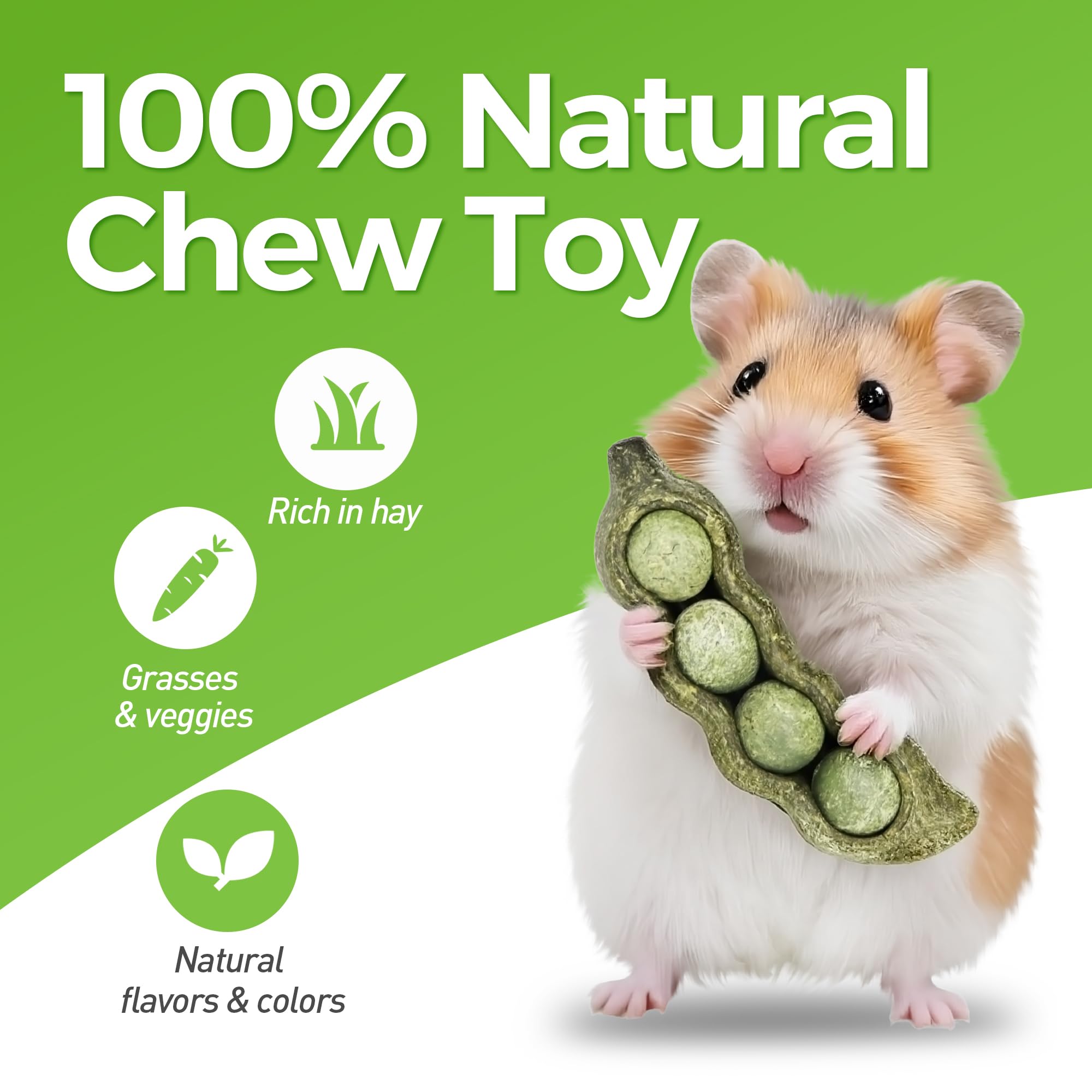 TEEWY ingrédients naturels avec foin de timothy et fibre de pois pour les rongeurs.