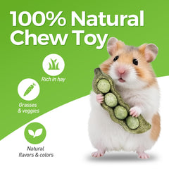 TEEWY ingrédients naturels avec foin de timothy et fibre de pois pour les rongeurs.