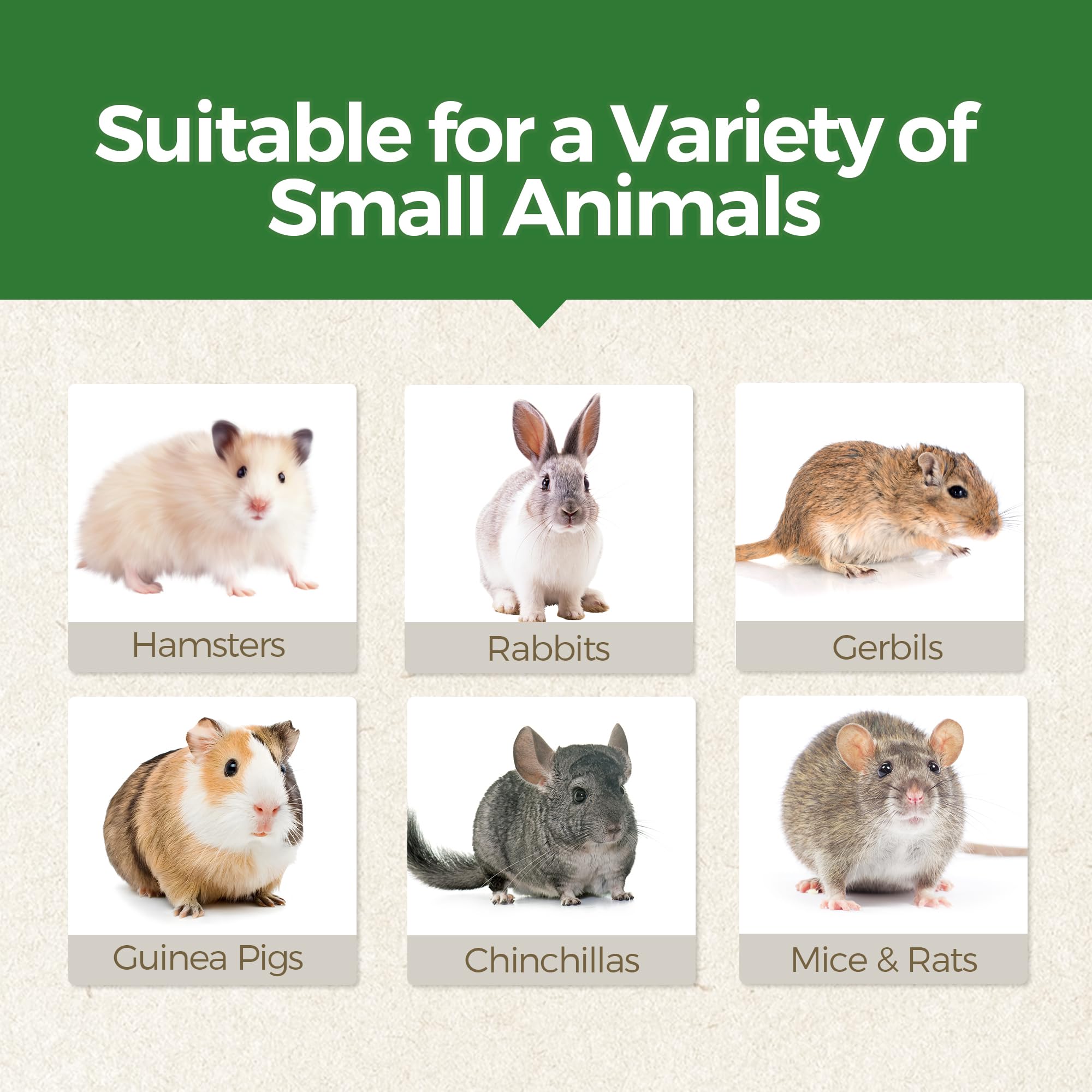 TEEWY jouet polyvalent pour diverses espèces de petits animaux.