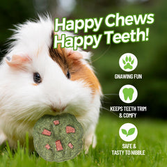 TEEWY Santé Dentaire: favorise l usure naturelle des dents des petits rongeurs.