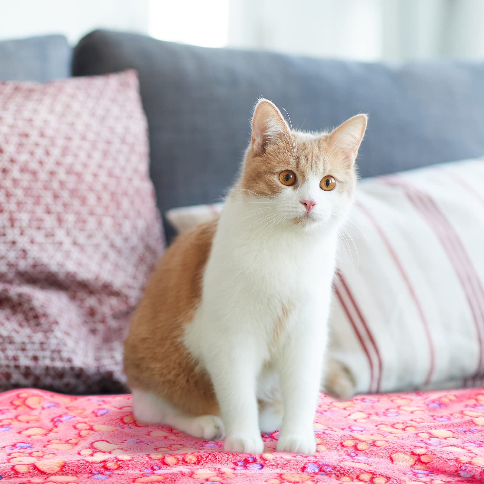 Tegeme couverture petits animaux, légère et facile à transporter.