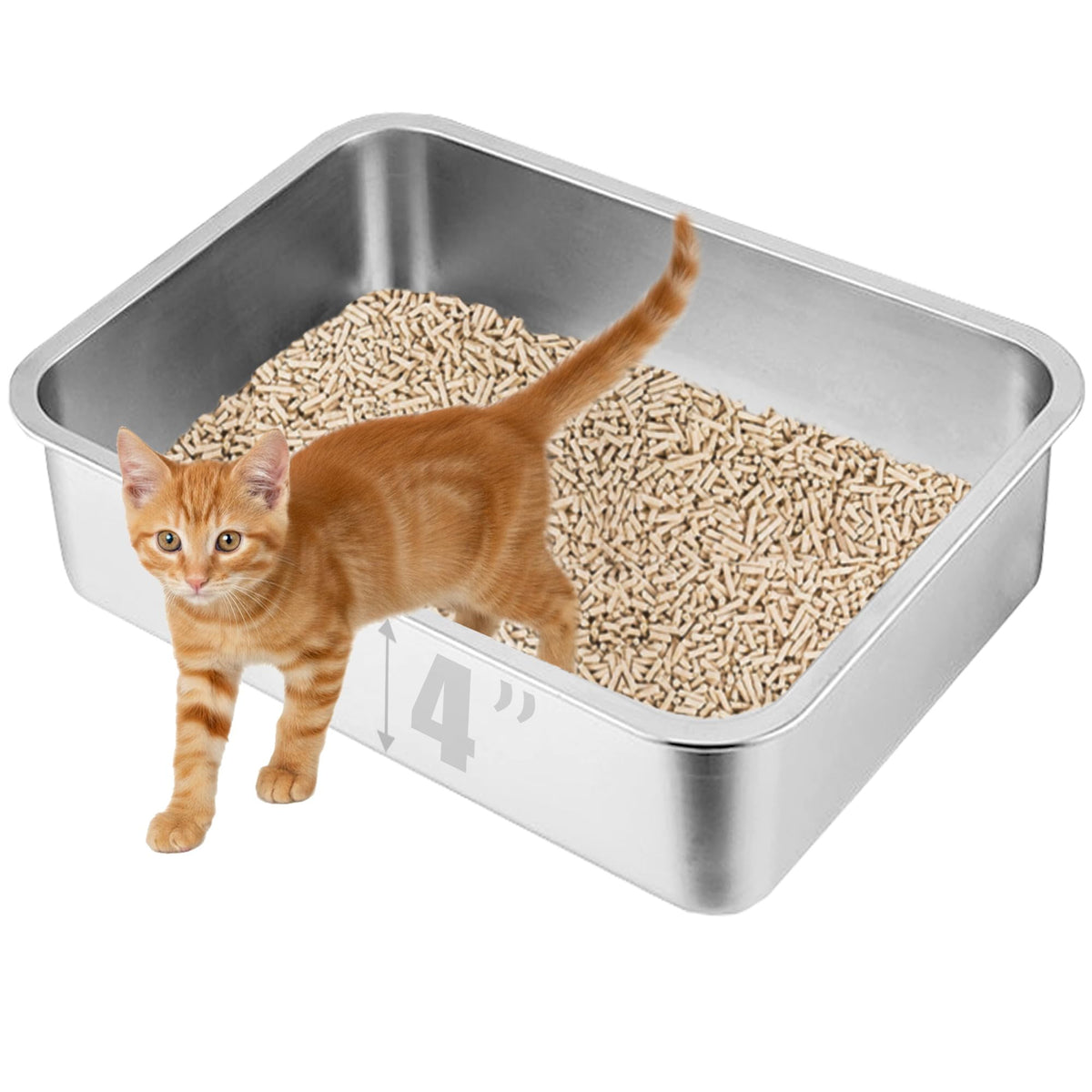 Tehoao litière inox pour chat, entrée basse, accès facile pour chatons.