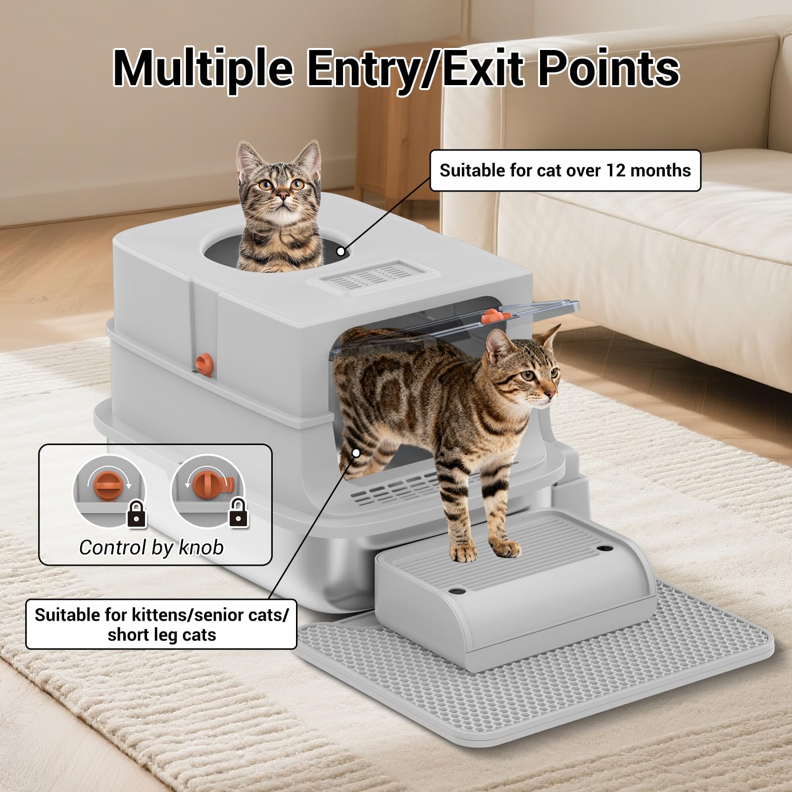 Grande capacité TEKEPL, adaptée aux grands chats et aux foyers multichats.