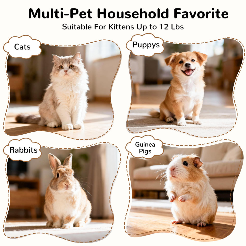 Parfait pour chats et petits animaux, selon l’espace et l’énergie.