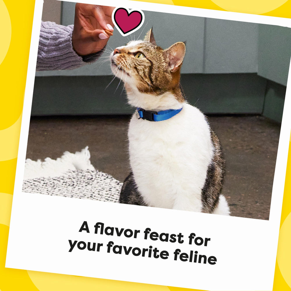 Recompense quotidienne Temptations Catnip Fever.