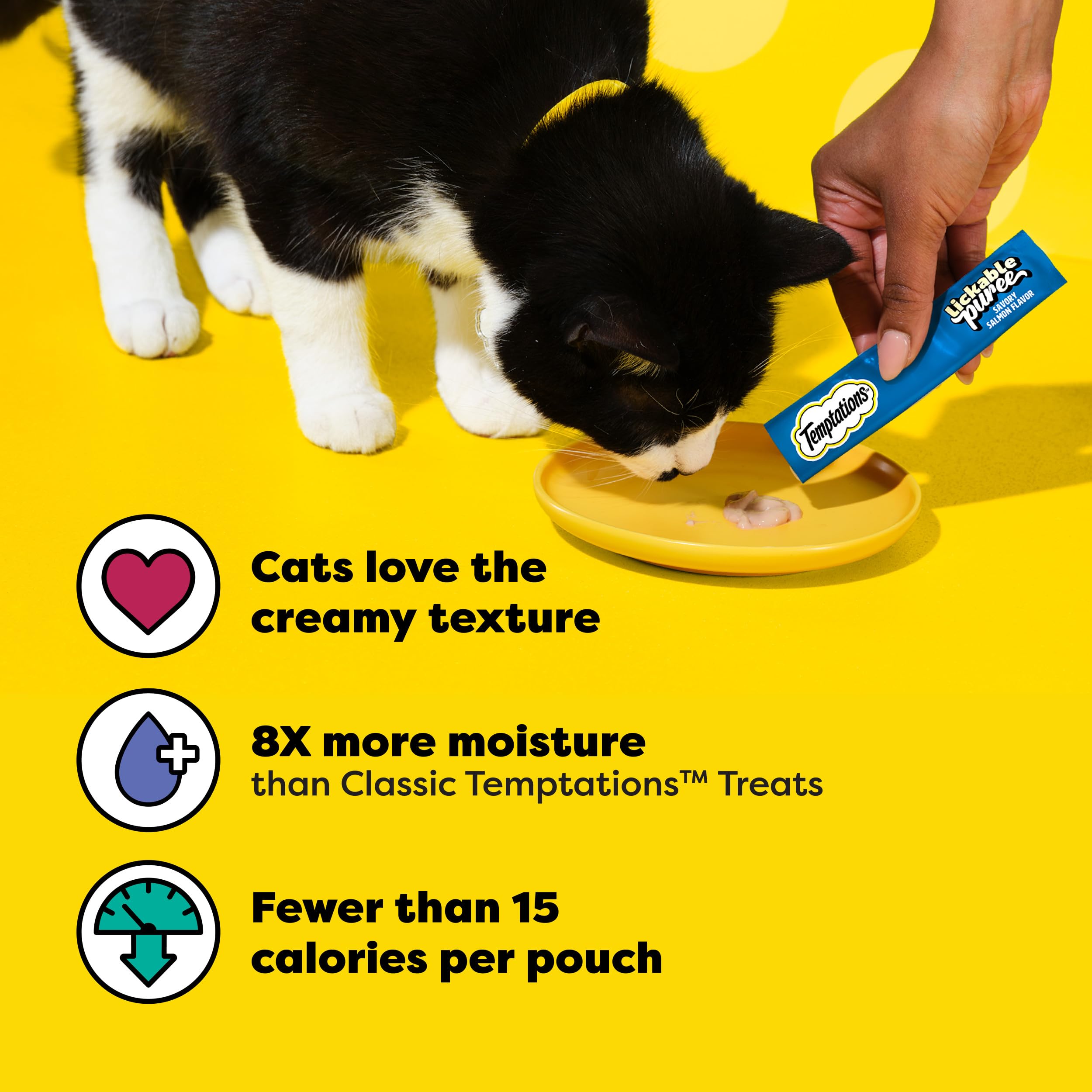Chat dans bol avec Purée Crèmeuse au poulet, usage quotidien.