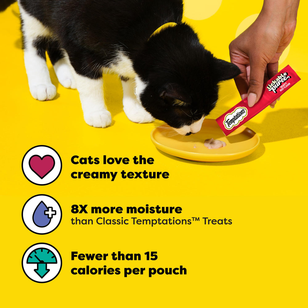 Friandise humide Temptations servie dans un bol pour chat.